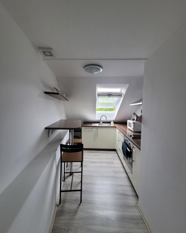 קרלובי וארי Excellent Apartments Central 3 Min Walk From The Colonnade מראה חיצוני תמונה
